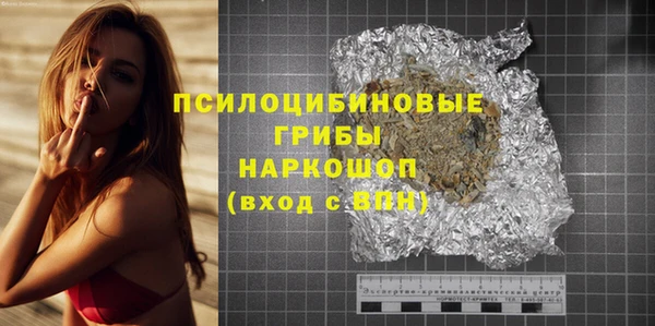 шишки Аркадак
