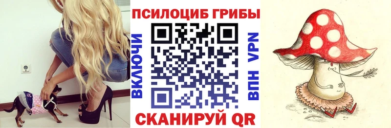 MEGA ONION  Иваново  Галлюциногенные грибы мицелий 